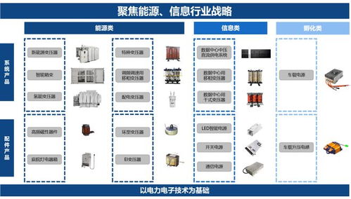 A股LED龍頭企業官宣沖刺H股，劍指全球計算機系統服務市場